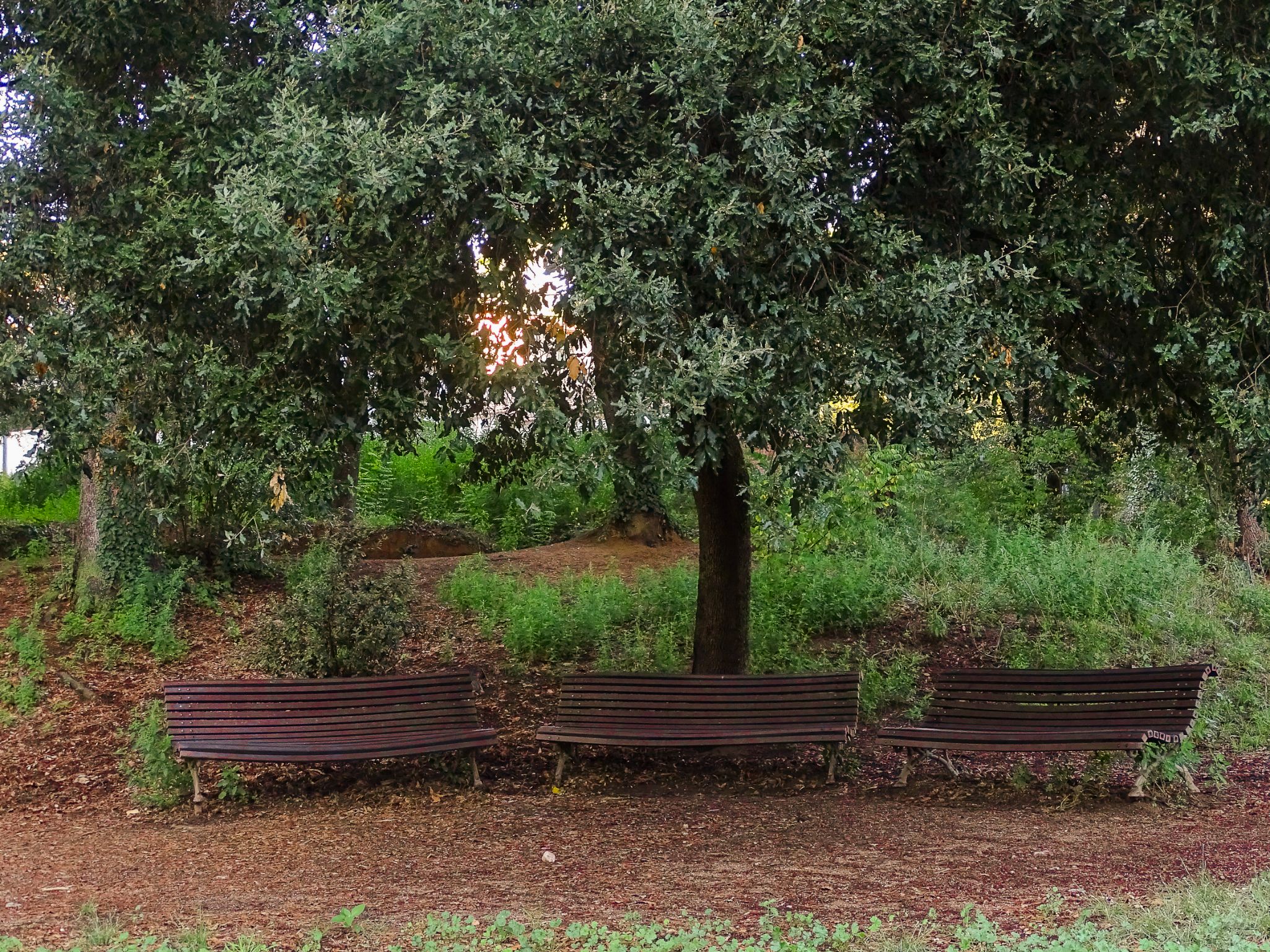 PARC DEL VERDER